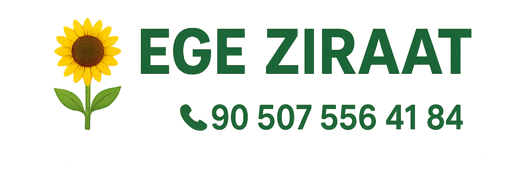 Fethiye Bahçe Düzenleme